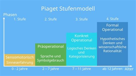 piaget entwicklungsstufen